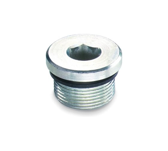 Изображение товара Заглушка Elesa+Ganter GN 749-M12X1.5-A, 2 шт 4687207435369