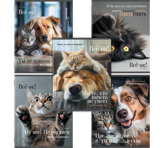 Изображение товара Бизнес-тетрадь Staff А5 48л.  College скоба, клетка, офсет №2 ЭКОНОМ, обложка картон, ПУШИСТЫЕ ДРУЗЬЯ, КОМПЛЕКТ 10 шт 405627