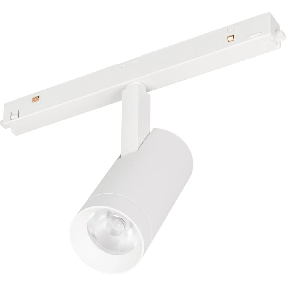 Изображение товара Светильник Arlight MAG-ORIENT-SPOT-R45-12W Day4000-MIX