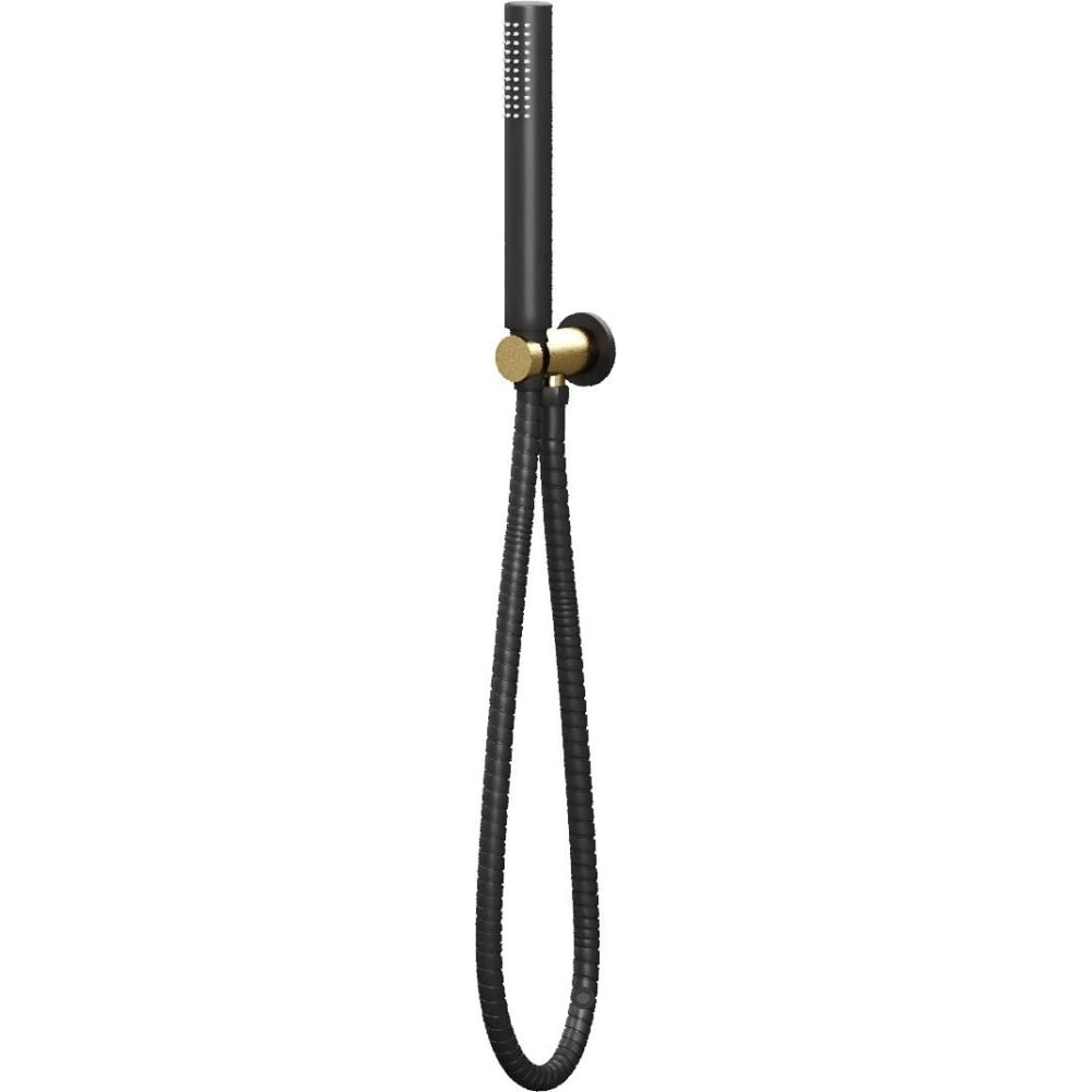 Изображение товара Набор ALLEN BRAU 5.31019-GB31 PRIORITY руч.душ+водорозетка+шланг1500мм водорз.-зол.,элементы-черн. (367813) 00367813