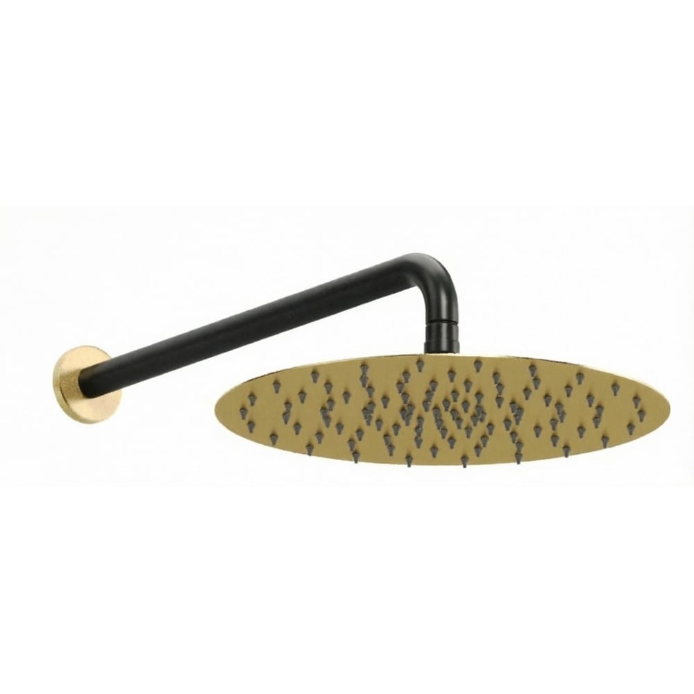 Изображение товара Верхний душ ALLEN BRAU 5.31A17-GB31 PRIORITY Slim,нерж. сталь душ и отраж.-зол.,держ.-черн. (367811) 00367811