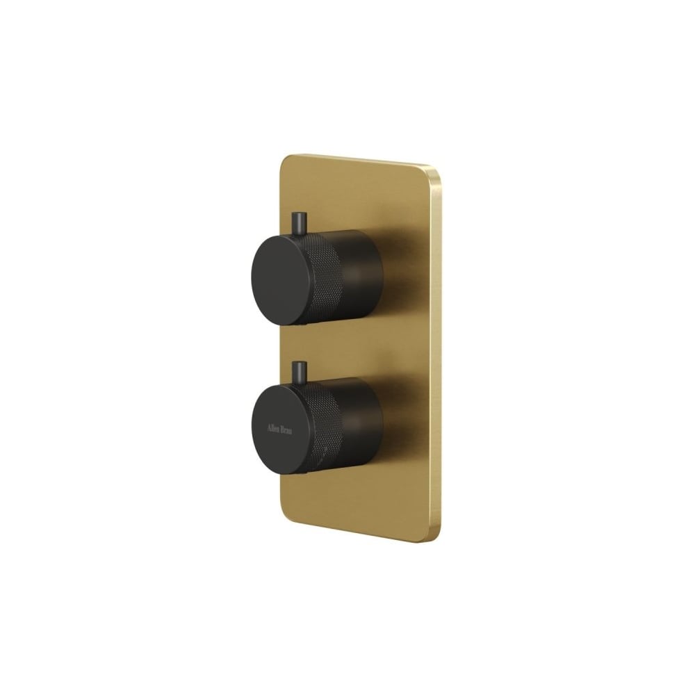 Изображение товара Термостат ALLEN BRAU 5.31213-GB31 PRIORITY V.2 Vernet, 2 хода накл-зол.,элементы-черн. (367809) 00367809