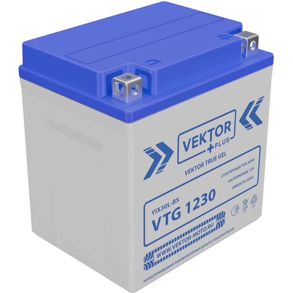 Изображение товара Аккумулятор VTG 1230 Vektor Energy GEL 30 Ач