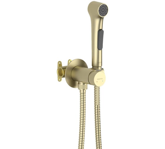 Изображение товара Комплект для гигиенического душа встроенный AQUATEK AQ1020BG ЕВРОПА (Смеситель + гигиеническая лейка + шланг), шлиф. золото 00000145296