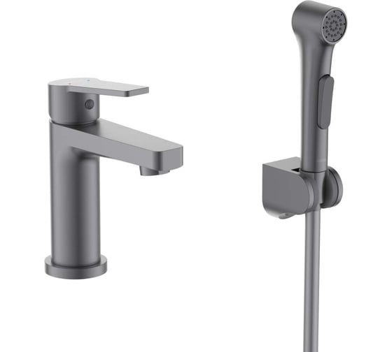 Изображение товара Смеситель для раковины AQUATEK AQ1712BGM ЛУГАНО 106 с гигиеническим ручным душем, оружейная сталь 00000145300