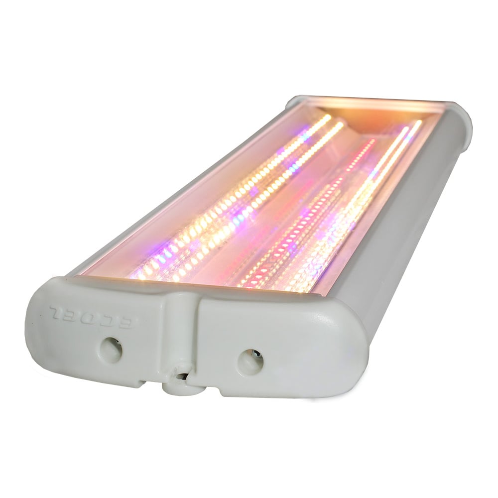 Изображение товара Светильник Экоэл -ЛУЧ-60.3К+BR.Д.IP54-570.ПКП.ЭК.ФИТО 02-00009608