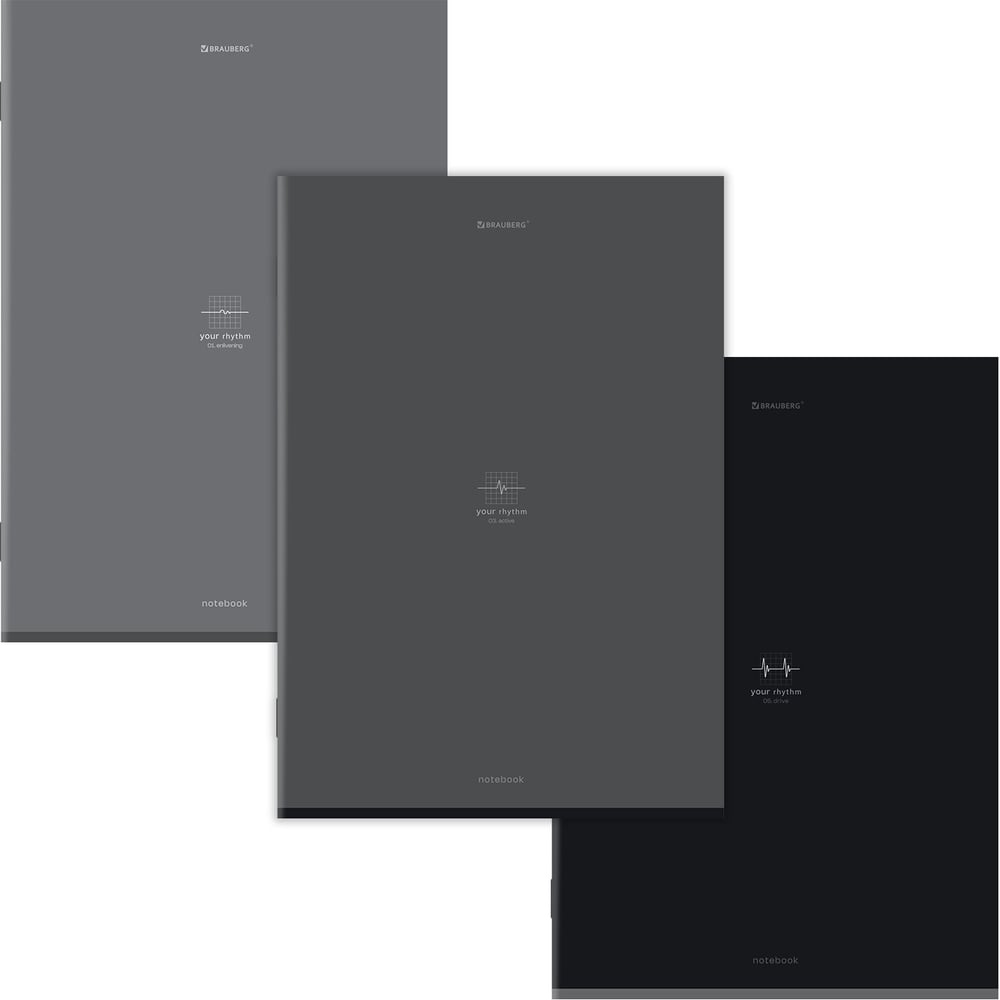 Изображение товара Бизнес-тетрадь BRAUBERG ДЭК А4, 96л, 3 шт. скоба, клетка, матовая ламинация, Ритм, 404886