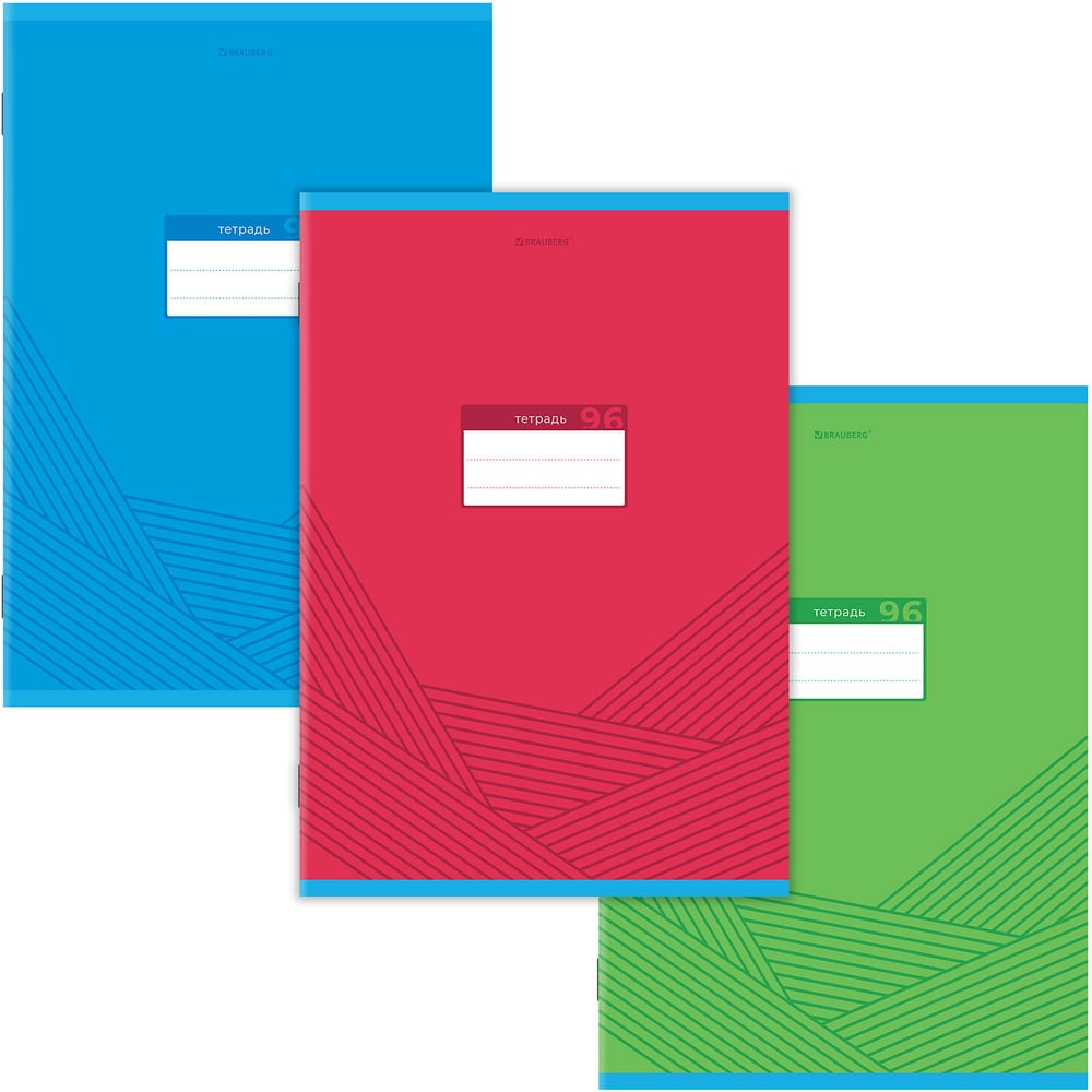 Изображение товара Бизнес-тетрадь BRAUBERG ДЭК А4, 96л, 3 шт. скоба, клетка, выборочный лак, Классика, 404900