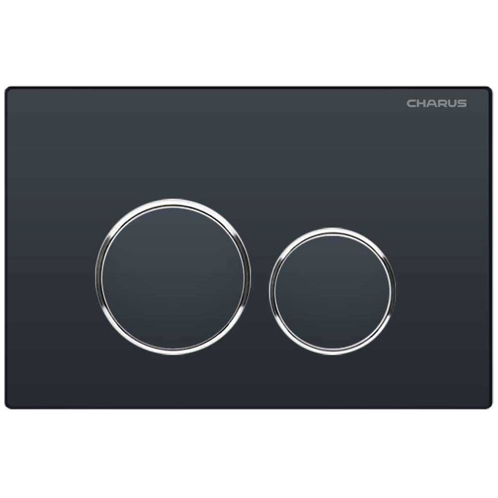 Изображение товара Клавиша SPACIO CHARUS для инсталляции с двухрежимной сливной системой