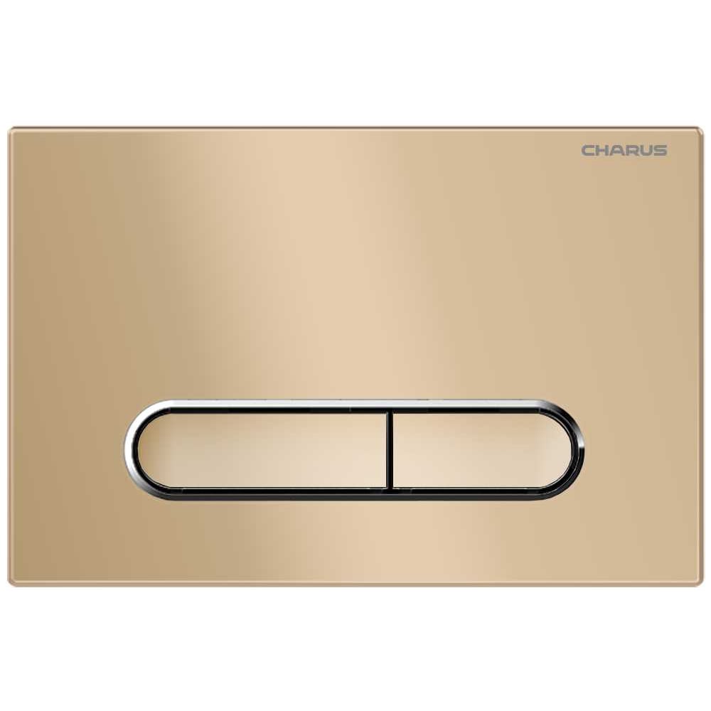 Изображение товара Клавиша для инсталляций CHARUS MAGNUS FP. 340. 51. 01 - двухрежимный слив и хромированная окантовка