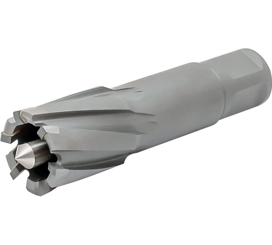 Изображение товара Корончатое сверло по металлу RODMIX TCT 91x55, weldon 32 1291055321