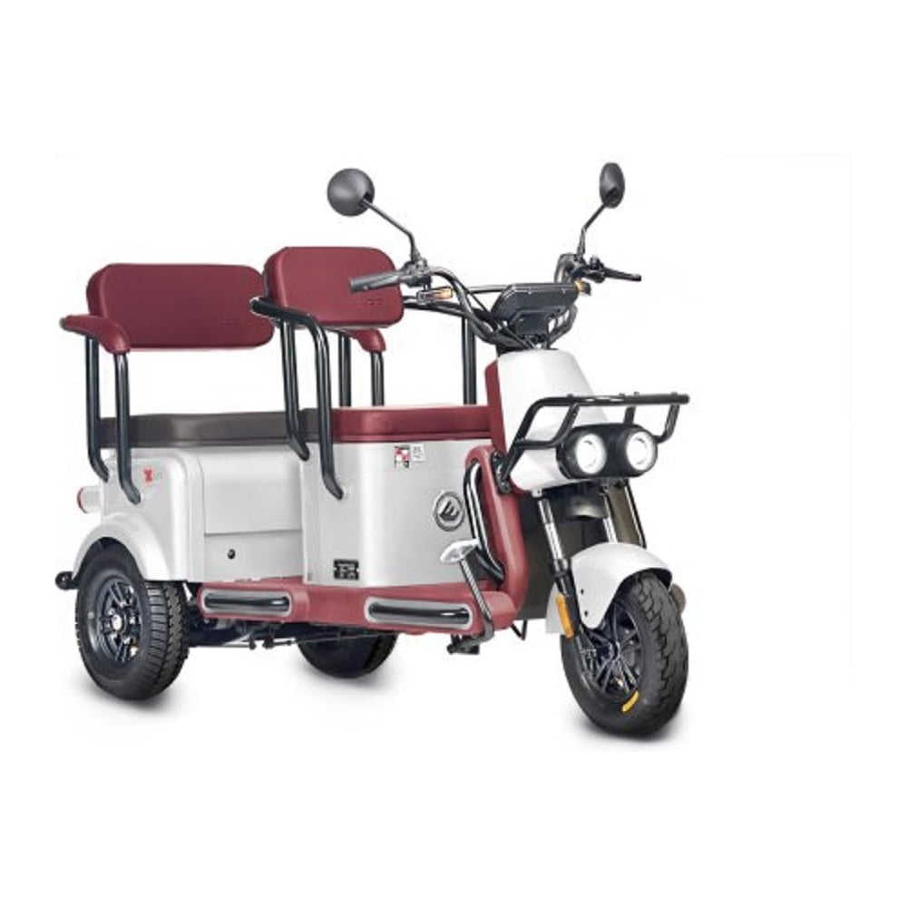 Изображение товара Электротрицикл Wanshida U1-X 60V 800Вт 0000307-3097