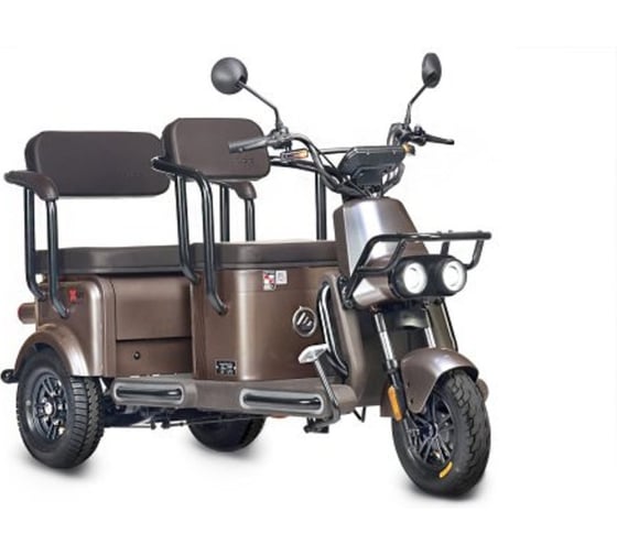 Изображение товара Электротрицикл Wanshida U1-X 60V 800Вт 0000307-3093