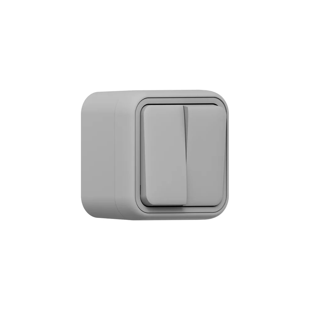 Изображение товара Двухклавишный выключатель EKF Бронто ОП BT1-SWG-21 с IP55