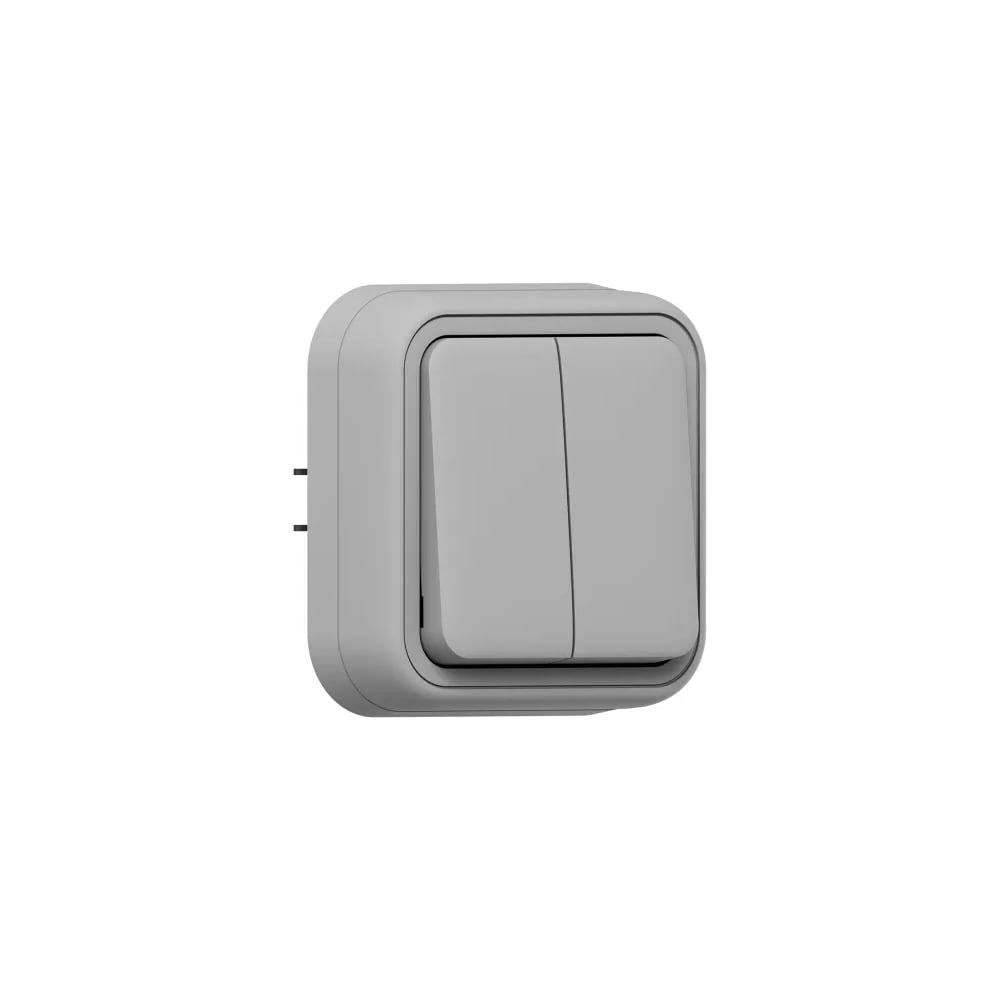 Изображение товара Выключатель EKF Бронто BT2-SWG-21