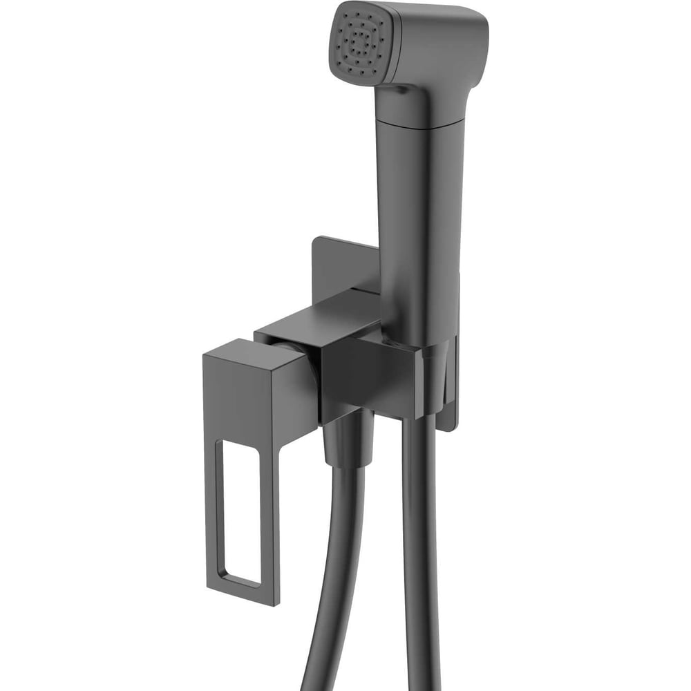 Изображение товара Смеситель с гигиеническим душем DQ Dortmund встраиваемый графит DA1714506 Изображение товара Смеситель с гигиеническим душем DQ Dortmund встраиваемый графит DA1714506