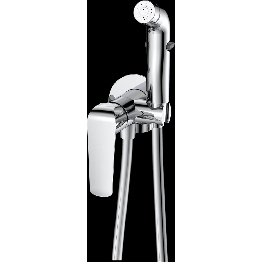 Изображение товара Смеситель DQ Dusseldor для биде DA1724501 с гигиеническим душем