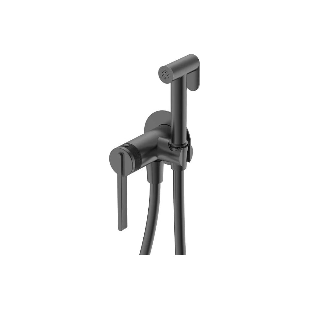 Изображение товара Смеситель DQ Bonn DA1704506 графит для биде, встроенный однорычажный Изображение товара Смеситель DQ Bonn DA1704506 графит для биде, встроенный однорычажный