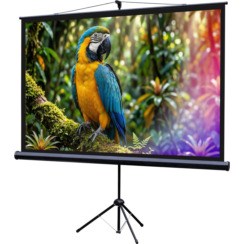 Изображение товара Экран Lumien LEV-100113 Eco View 1040x1860 мм с белым матовым полотном