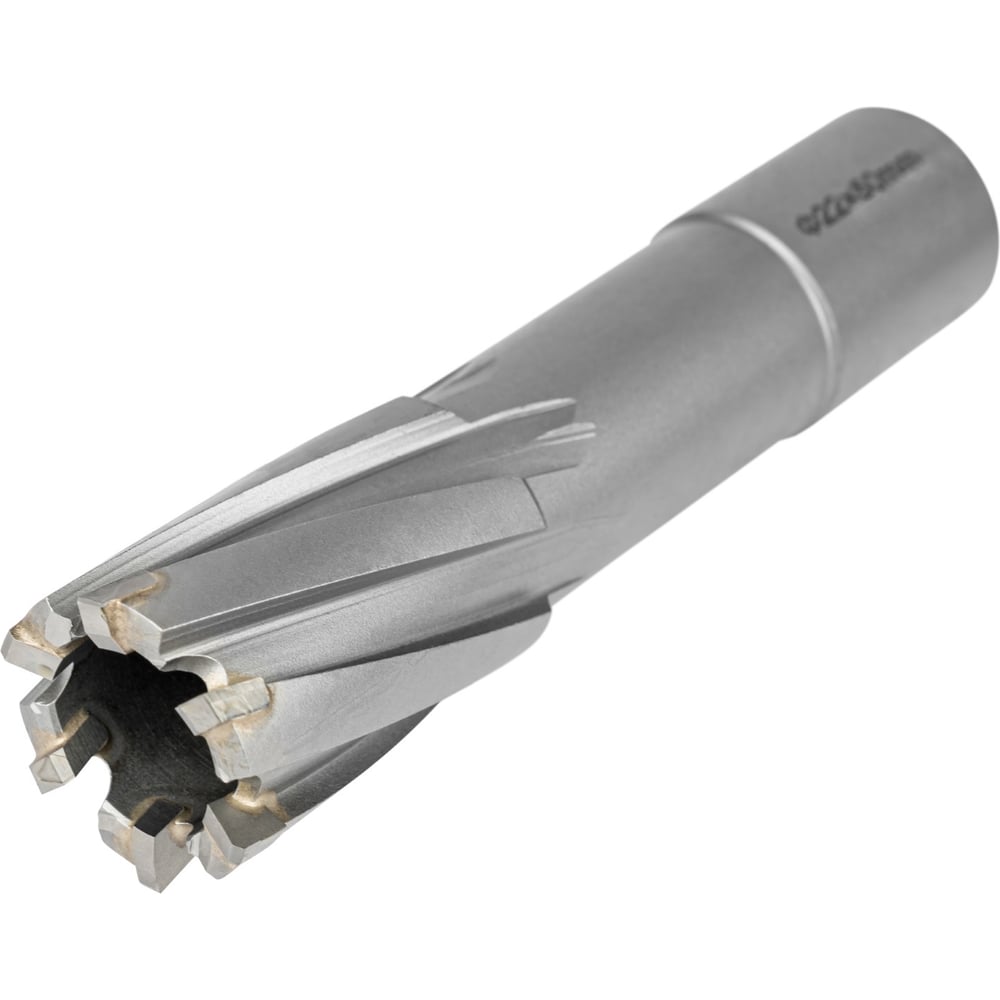 Изображение товара Фреза по металлу ELITECH 22х55мм Weldon 19мм TCT 1110.009900 205060