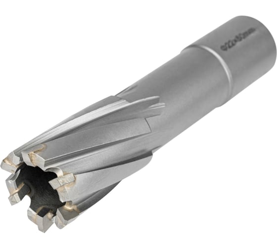 Изображение товара Фреза по металлу ELITECH 22х55мм Weldon 19мм TCT 1110.009900 205060