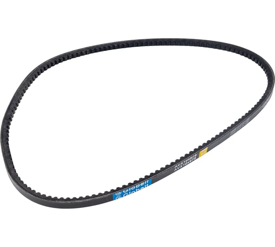 Изображение товара Зубчатый ремень Globelt AVX10x975 HD