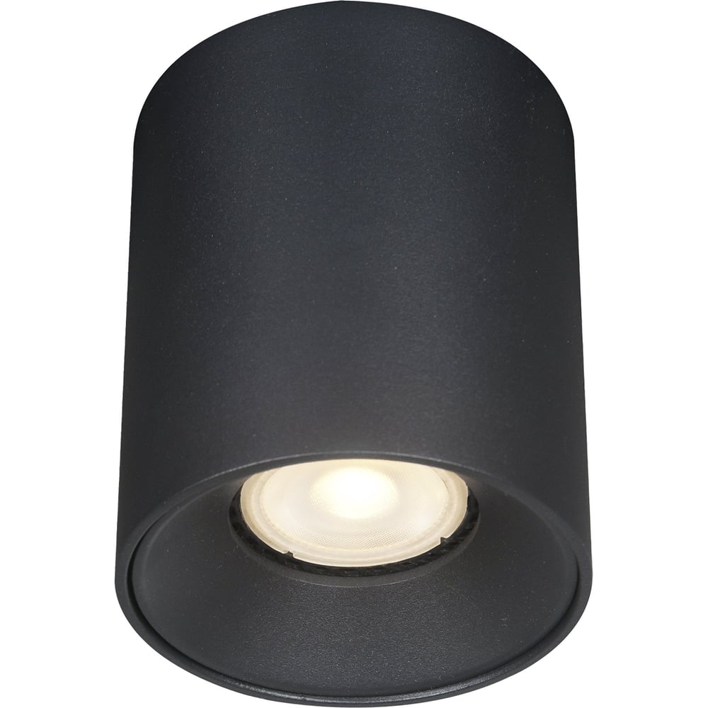 Изображение товара Потолочный светильник ST luce ST167.402.01 черный 50Вт GU10 Изображение товара Потолочный светильник ST luce ST167.402.01 черный 50Вт GU10