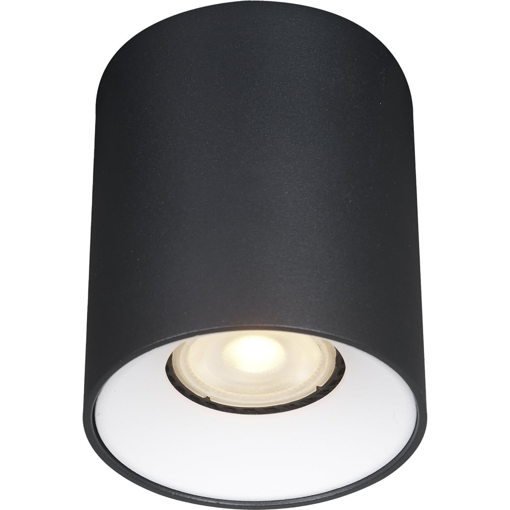 Изображение товара Светильник потолочный ST LUCE черный GU10 1*50W IP20 D80xH95 220V без ламп ST167.452.01