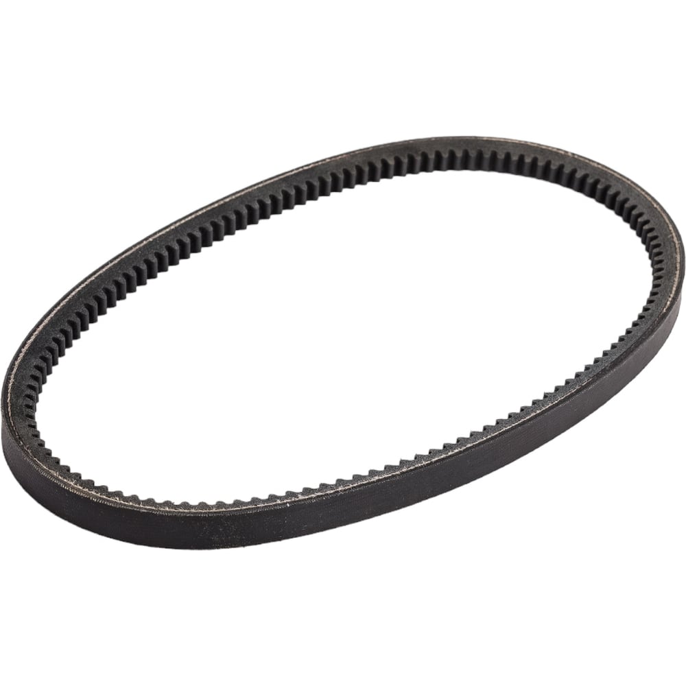 Изображение товара Зубчатый ремень Globelt AVX13x710