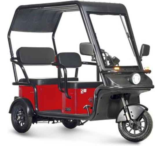 Изображение товара Электротрицикл Wanshida NIPLA 570 60V 1000Вт 0000299-3091