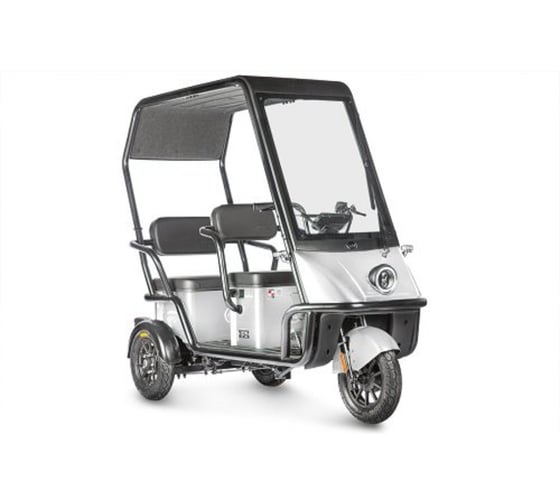Изображение товара Электротрицикл Wanshida NIPLA 500 60V 1000Вт 0000296-3087