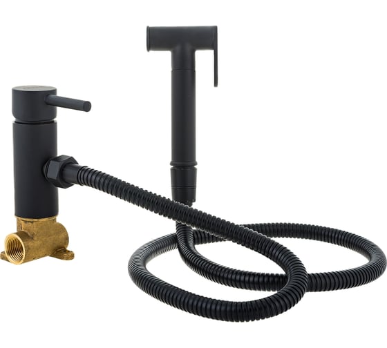 Изображение товара Смеситель для биде OUTE из латуни, черный матовый TH345H