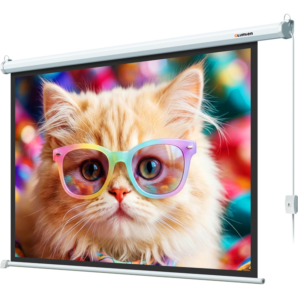 Экран с электроприводом Lumien LEC-100119 Eco Control 157x227 см (раб. область 124х221 см) (100) Matte White, верх.кайма 30 см, чер \3\ 155766