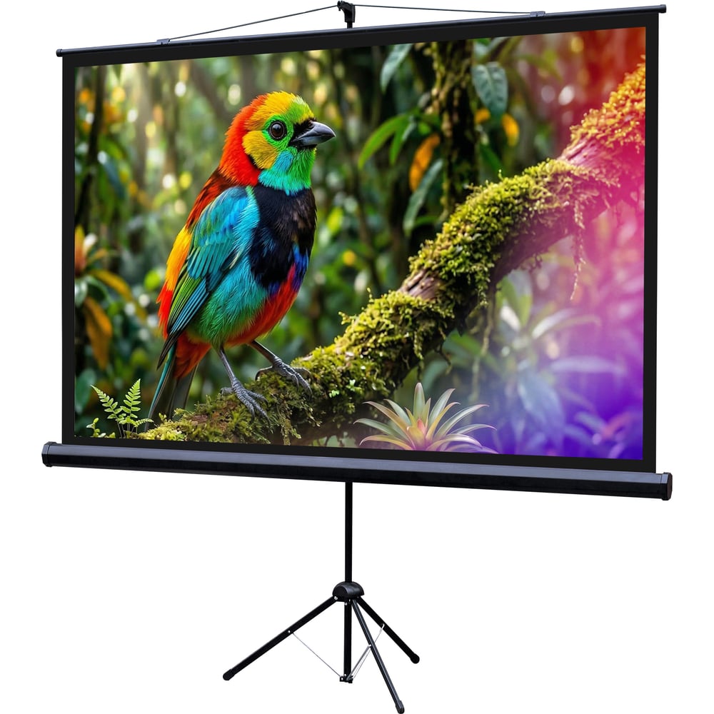 Изображение товара Экран Lumien LEV-100114 Eco View 115x200см с матовым полотном 16:9 Изображение товара Экран Lumien LEV-100114 Eco View 115x200см с матовым полотном 16:9