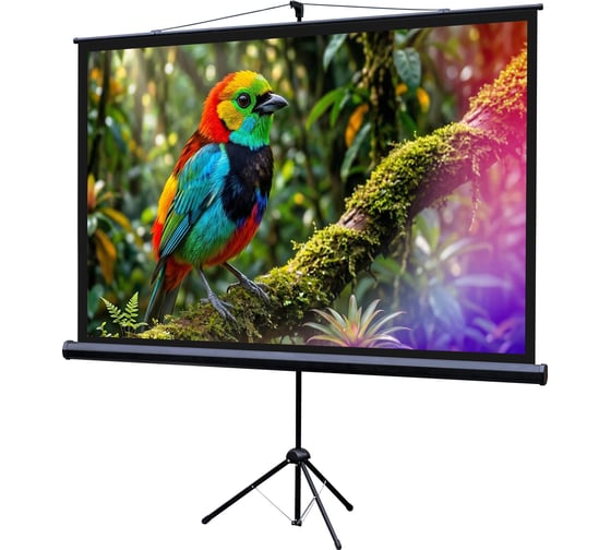 Изображение товара Экран на штативе Lumien LEV-100114 Eco View 115x200см (раб.область109х194 см) (88) Matte White 16:9 \3\ 155757