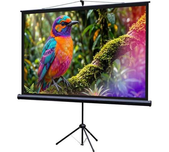 Изображение товара Экран на штативе Lumien LEV-100115 Eco View 130x227см (раб.область124х221 см) (100) Matte White 16:9 \3\ 155758