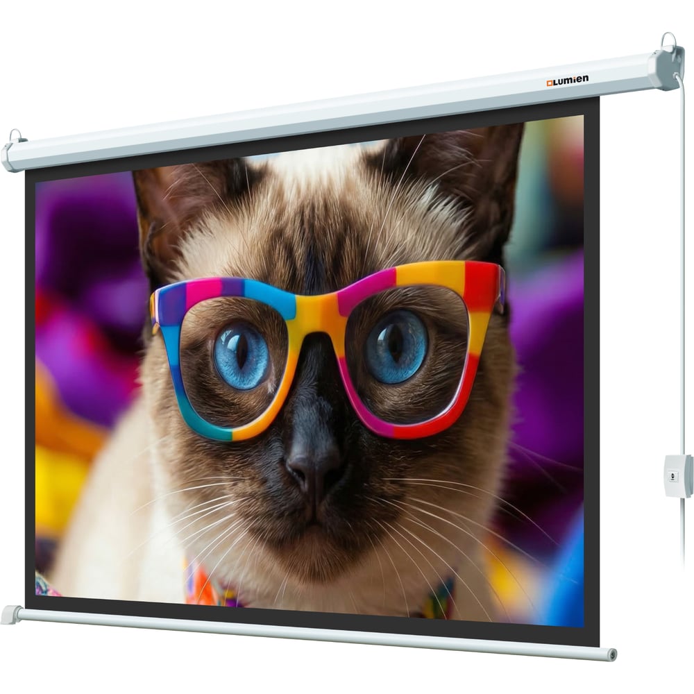 Экран с электроприводом Lumien LEC-100118 Eco Control 137x192 см (раб. область 104х186 см) (84) Matte White, верх.кайма 30 см, черн \3\ 155765