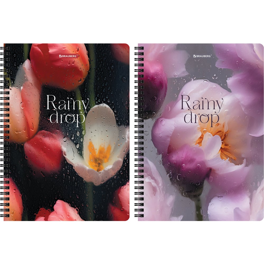 Изображение товара Тетради BRAUBERG ДЭК А4 96л 2 шт гребень клетка SoftTouch 405586