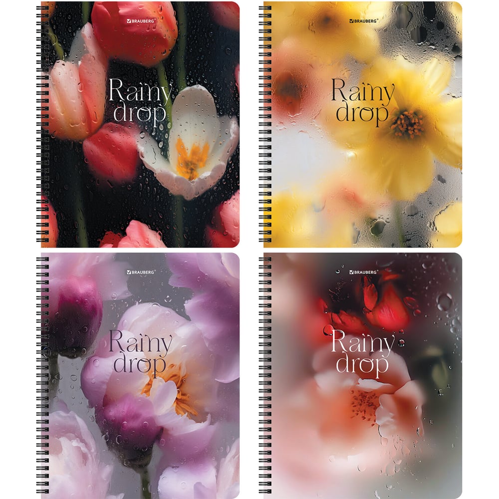 Изображение товара Бизнес-тетради BRAUBERG ДЭК А5 48л. КОМПЛЕКТ 4 шт.  гребень, клетка, блок 80г/м2, SoftTouch, Эстетика 405580