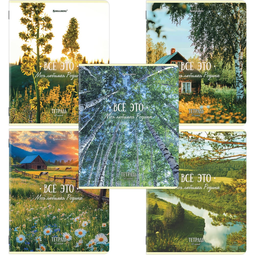 Изображение товара Тетрадь BRAUBERG А5 48л. скоба, клетка, КОМПЛЕКТ 5 шт., глянцевый лак, Русская природа (микс в спайке), 405651