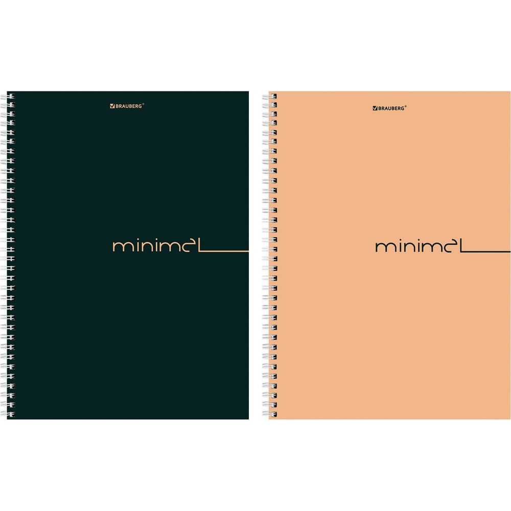 Изображение товара Бизнес-тетрадь BRAUBERG А4 120л клетка