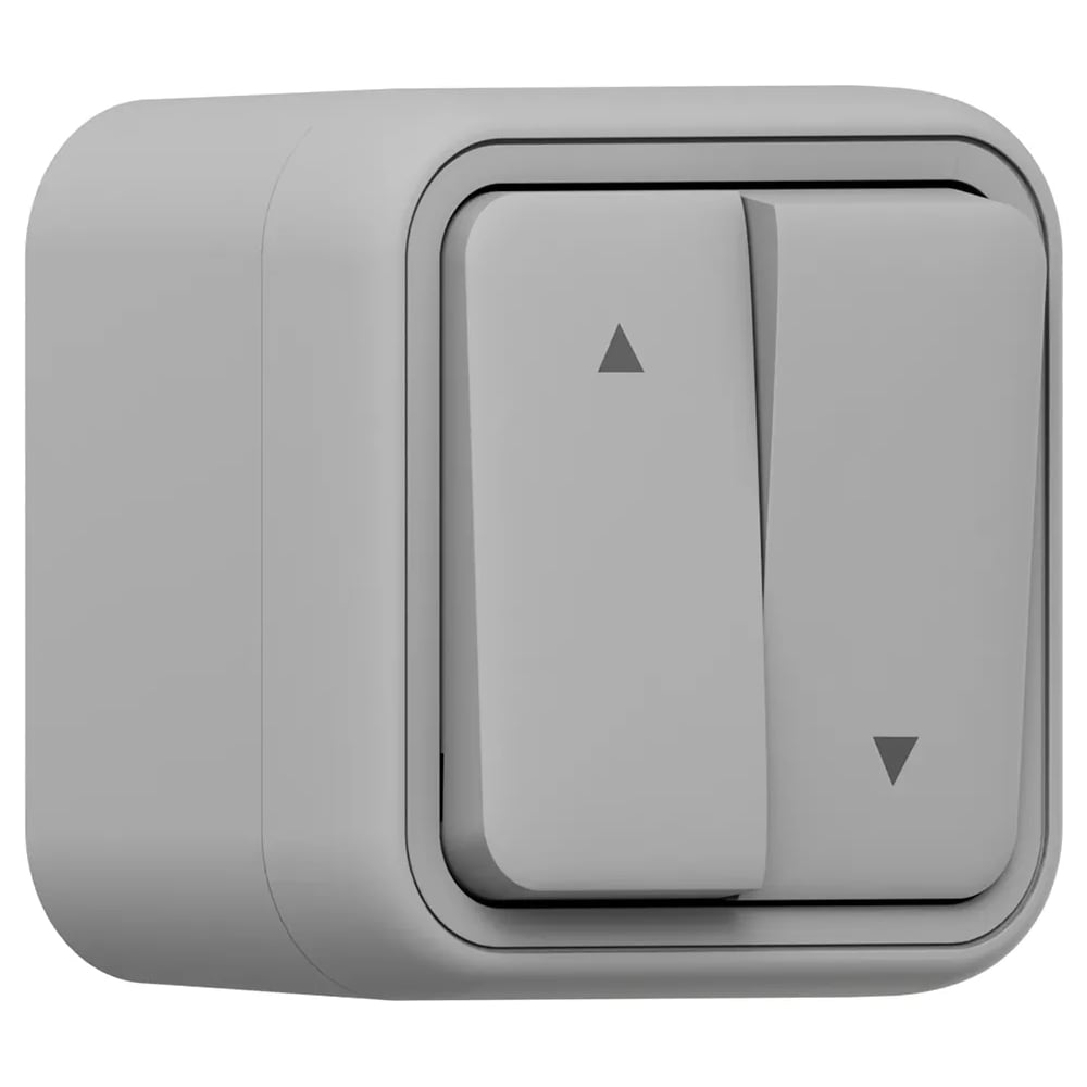 Изображение товара Выключатель EKF Бронто OP BT1-SWG-25 230 В 2 клавиши серый