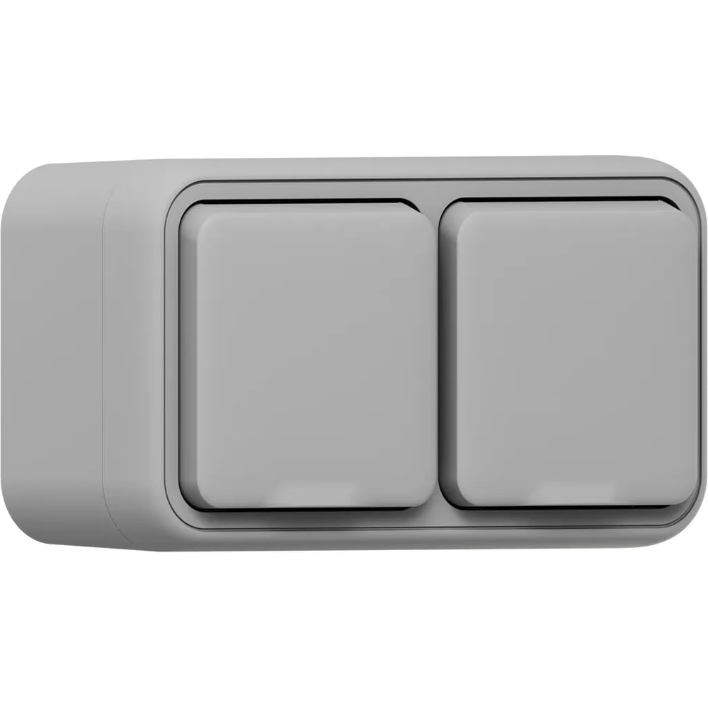 Изображение товара Розетка двухместная EKF Бронто ОП, винтовые клеммы, серый BT1-SOG-211