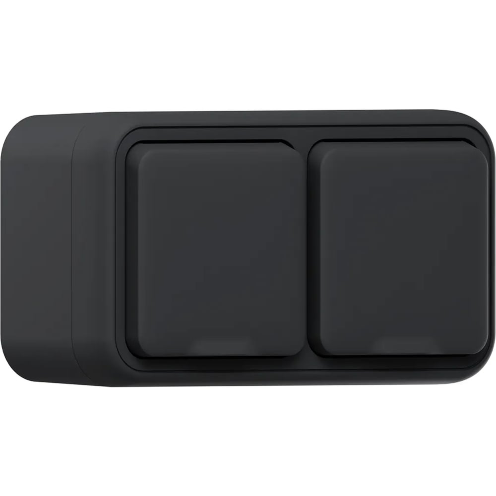 Изображение товара Двухместная розетка EKF Бронто ОП IP55 антрацит Надежное электроснабжение