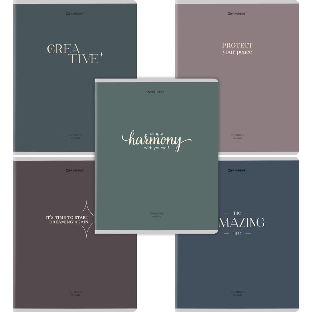 Изображение товара Тетрадь BRAUBERG ДЭК А5 96 листов в комплекте 5 шт. с клетчатым форматом