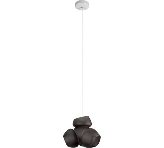 Изображение товара Подвесной светильник LOFT IT Cluster 10467P Black