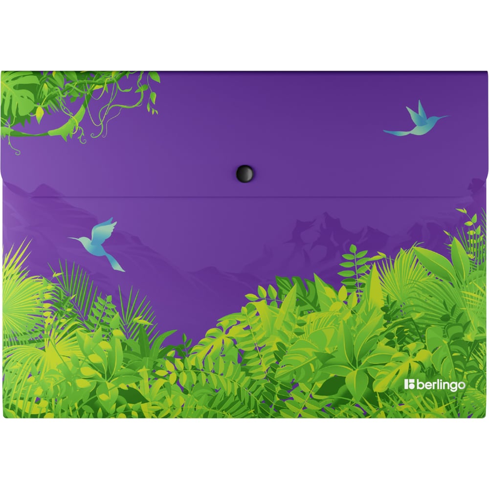 Изображение товара Папка-конверт на кнопке Berlingo Flower Art, А4, 330мкм, с рисунком, EFbA4S20 EFb_A4S20