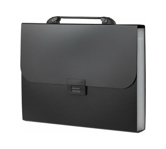 Изображение товара Пластиковый портфель BRAUBERG Energy А4 330x256x32 мм, 7 отделений, индексные ярлыки, черный 221204