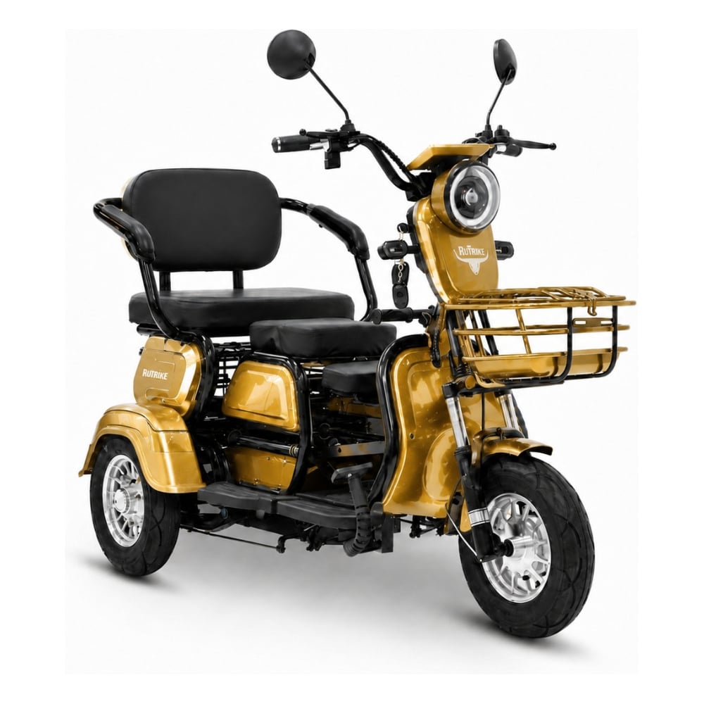 Электротрицикл Бумеранг 60V600W20A/H золотистый Rutrike 026899-3339