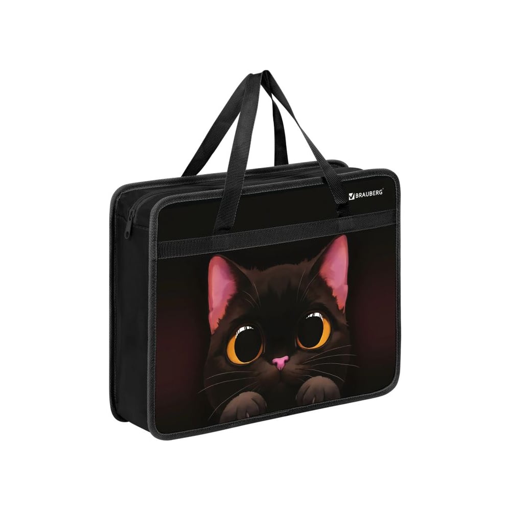 Изображение товара Папка на молнии BRAUBERG Big Black Cat для документов A4 с ручками Изображение товара Папка на молнии BRAUBERG Big Black Cat для документов A4 с ручками